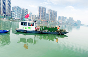 Market cleaning project of Longchuan County, Heyuan City, Guangdong Province